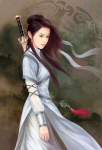 罪恶之城女梯改造计划